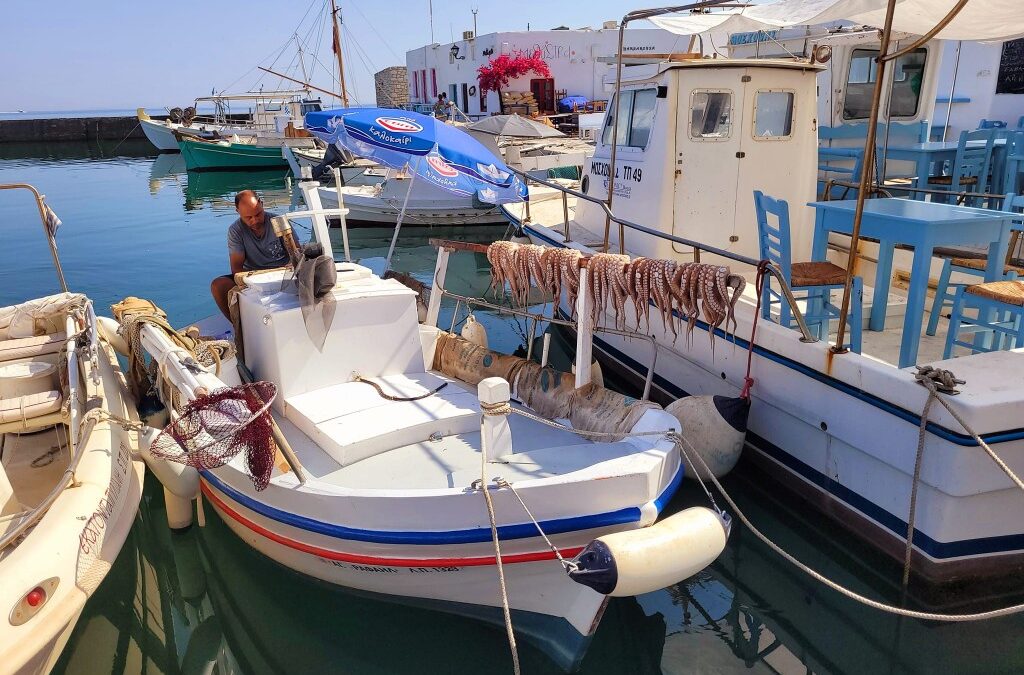 Πρόσκληση υποβολής αιτήσεων χρηματοδότησης για τη Δράση 1.1.2 «Επενδύσεις στα αλιευτικά σκάφη χωρίς αύξηση αλιευτικής ικανότητας» 