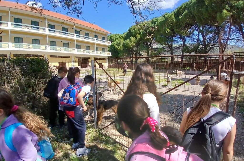 Δημοτικό Σχολείο Κλειτορίας: Μαθήματα αγάπης και ευθύνης από τους μικρούς μαθητές στο καταφύγιο αδέσποτων του Δήμου Καλαβρύτων