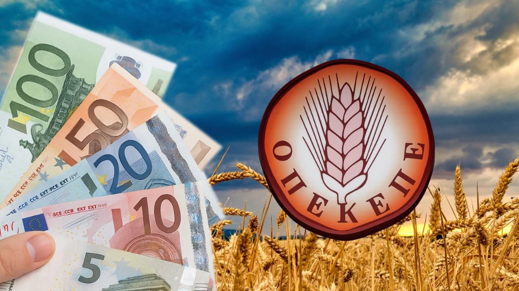Πώς δρούσε το κύκλωμα που πήρε παράνομα 4,5 εκατ. ευρώ από τον ΟΠΕΚΕΠΕ στην Βόρεια Ελλάδα, οι ομοιότητες με την Κρήτη