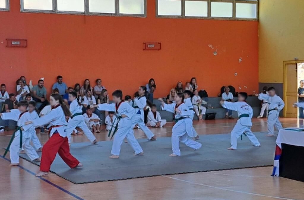 Καλάβρυτα: Εντυπωσιακή η επίδειξη των τμημάτων taekwondo στο Κλειστό Γήπεδο Μπάσκετ