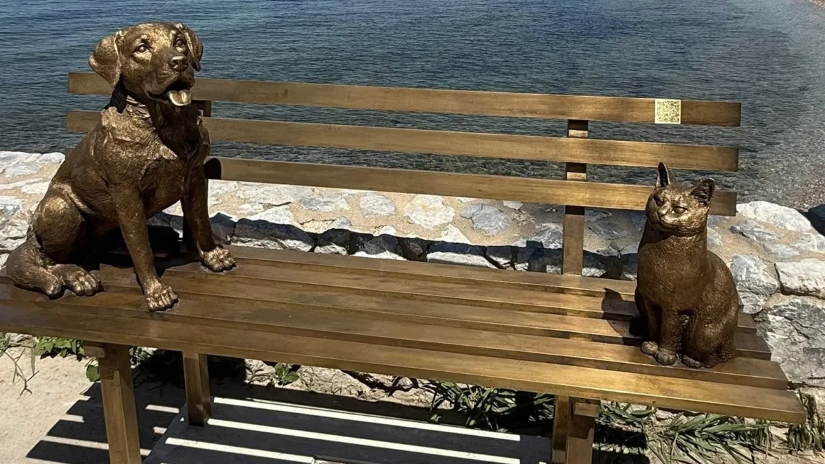 Παλαιό Φάληρο: Ένα ξεχωριστό παγκάκι αφιερωμένο στους καλύτερους φίλους μας