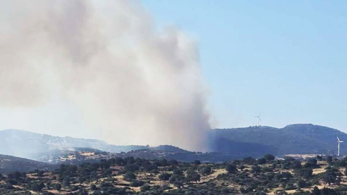 Μεγάλη φωτιά σε δάσος στην Εύβοια: Εκκενώνονται Μεσοχώρια και Ραπταίοι – Επιχειρούν 120 πυροσβέστες και 14 εναέρια