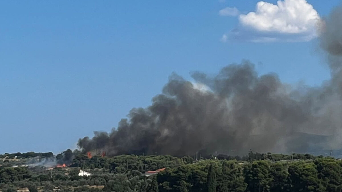 Φωτιά τώρα στον Άγιο Δημήτριο Κορινθίας: Μήνυμα του 112 για εκκένωση σε Φιλοθέη και Θυμαρίωνα