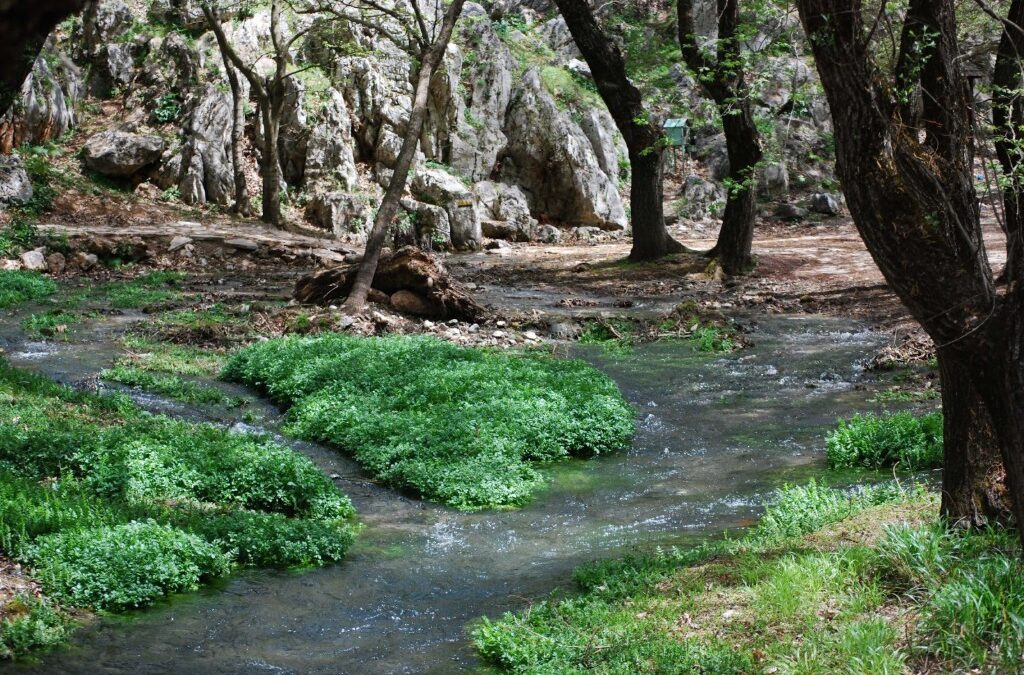 Η νέα εθνική στρατηγική για το νερό – Ολιστική προσέγγιση στη διαχείριση των υδάτων