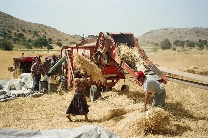 Ήρθε η πατόζα (αλωνιστική ή αλωνευτική μηχανή) στο χωριό!