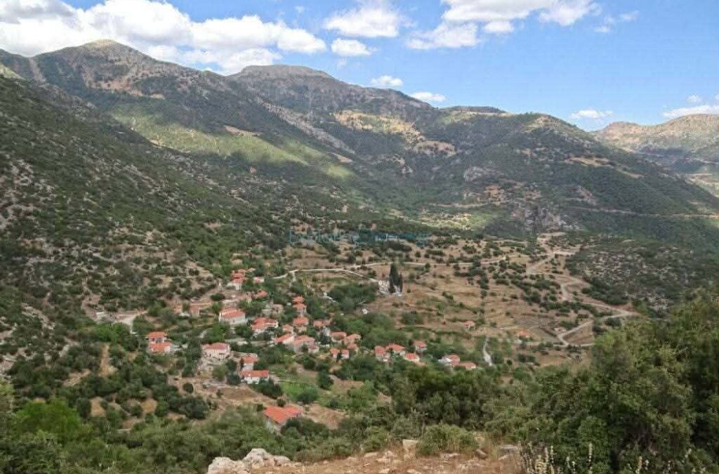 Καμενιάνοι: Η Δύναμη της Μοναχικής Προσπάθειας που Ενώνεται σε μια Συλλογική Ψυχή!