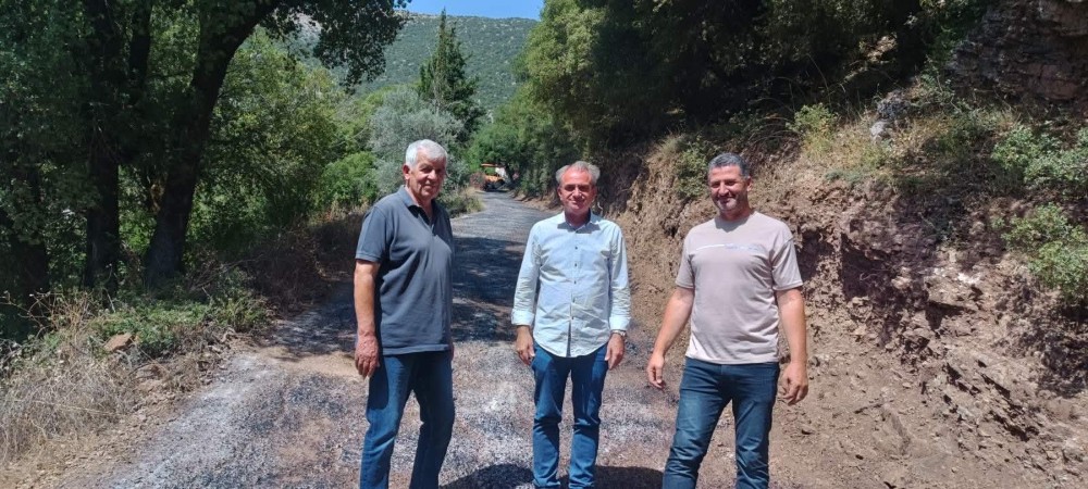 Καστριά: «Καινούργια άσφαλτος έπεσε σε δρόμους στην Τ.Κ. Καστριών της Δ. Ε. Κλειτορίας»