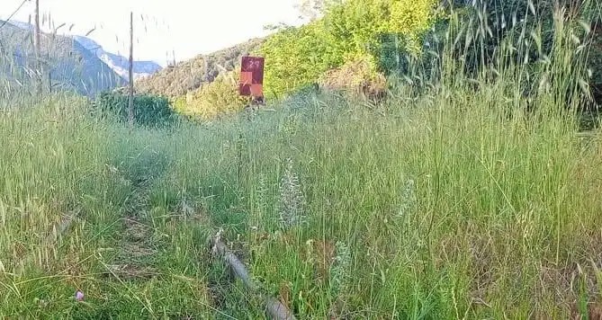 Αχαΐα: Χορτάριασε ο Οδοντωτός από το «λουκέτο» – Χωρίς πλάνο επανεκκίνησης και χρονοδιάγραμμα η Κυβέρνηση